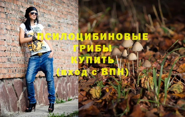 винт Заводоуковск