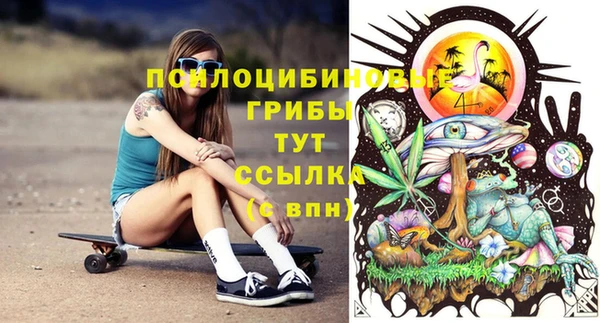 ПСИЛОЦИБИНОВЫЕ ГРИБЫ Семикаракорск