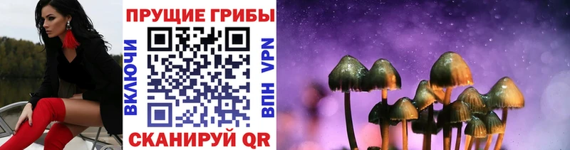 ОМГ ОМГ как войти где купить наркотик Северо-Курильск Псилоцибиновые грибы Psilocybe